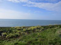 Samphire Hoe