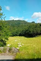 Schottland