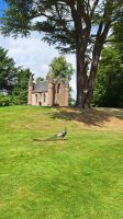 Scone Palace