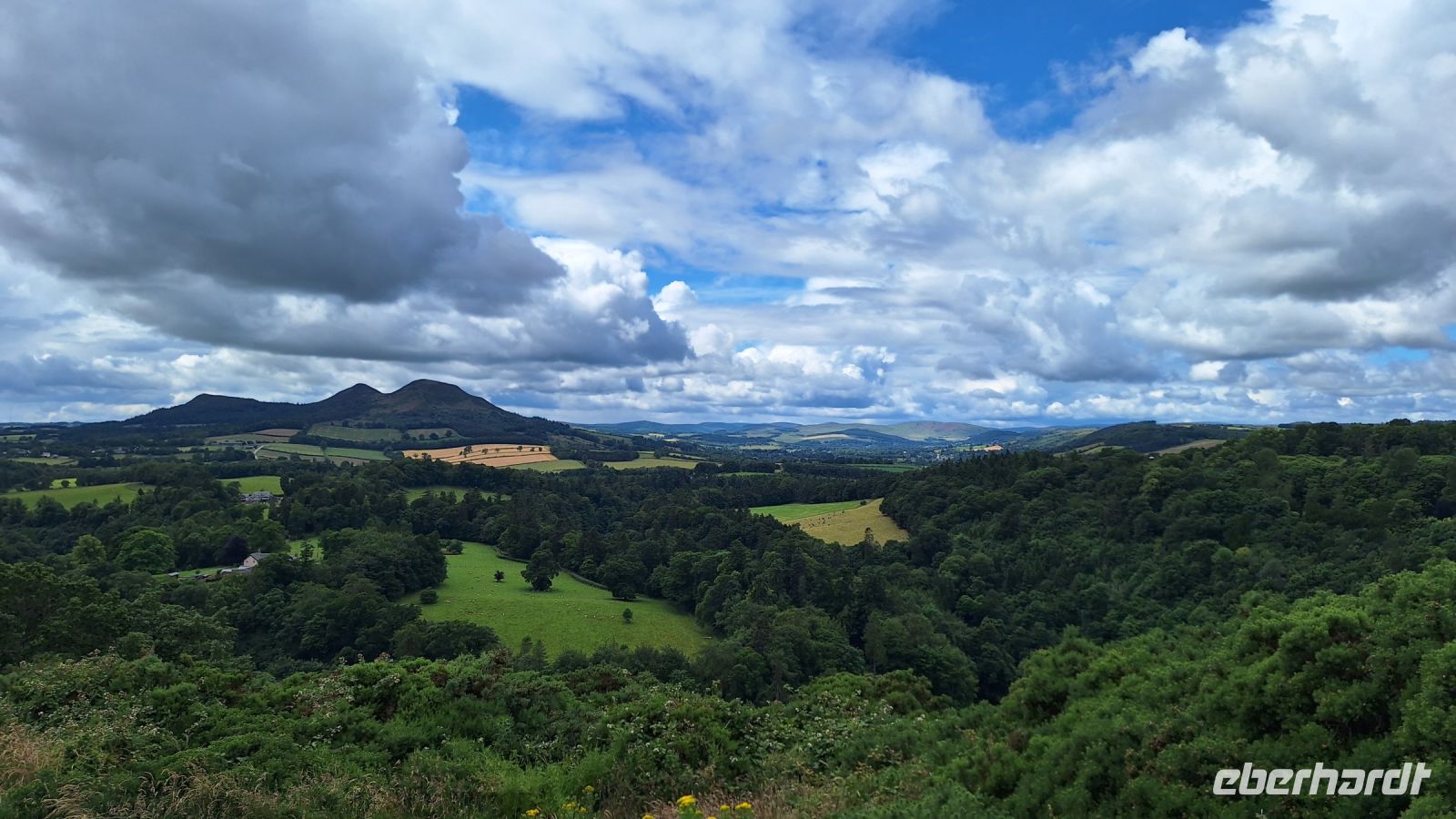 Scott's View