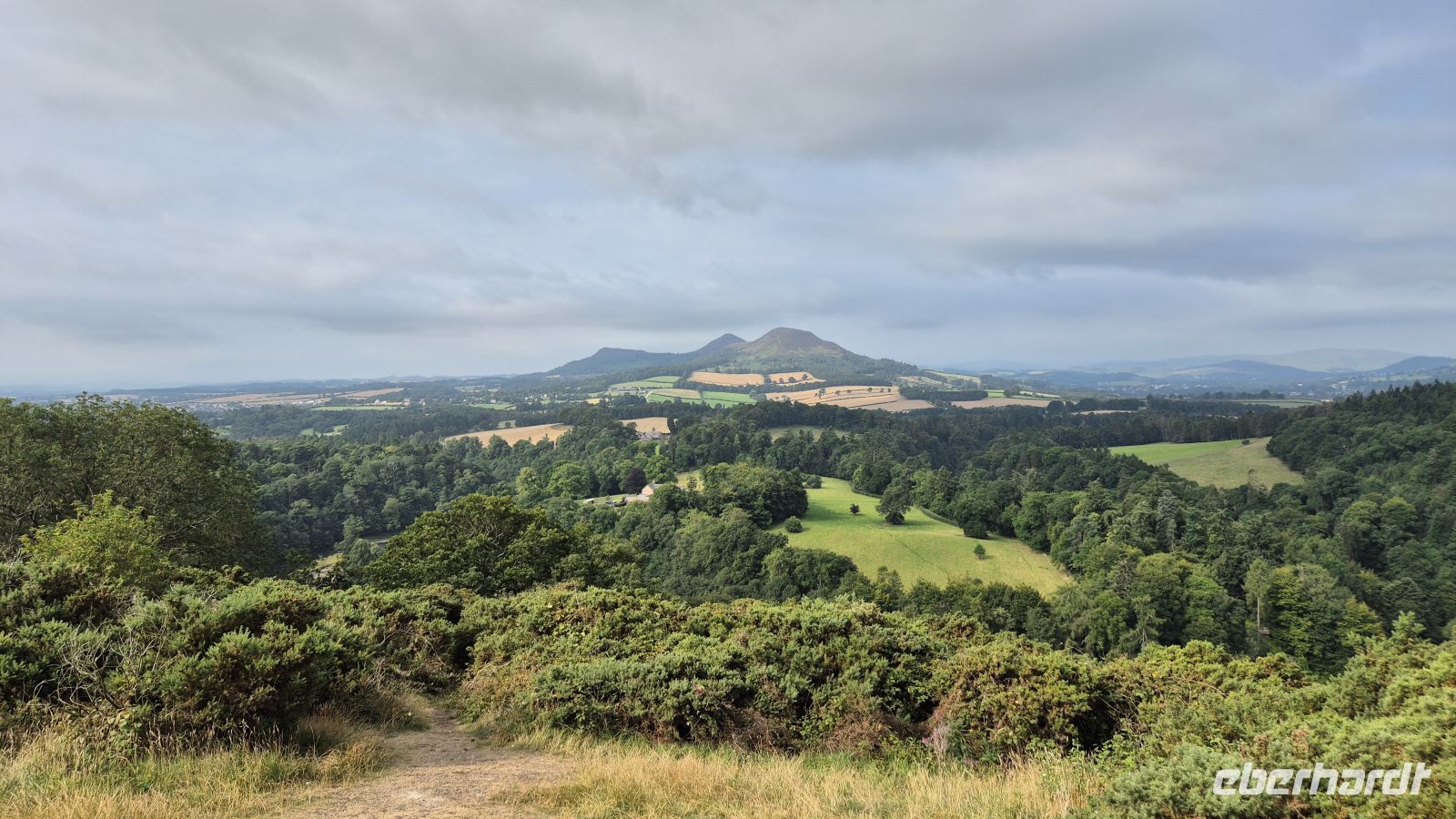 Scott's View