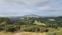 Scott's View
