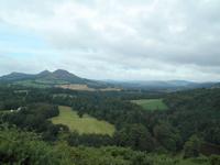 Scott's View