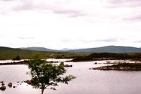 Seenlandschaft