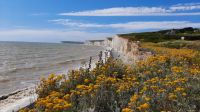 Seven Sisters