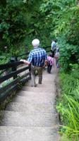Shanklin Chine - Eine unerwartet auftretende wilde Schlucht mit tropischer Vegetation