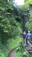 Shanklin Chine - Eine unerwartet auftretende wilde Schlucht mit tropischer Vegetation