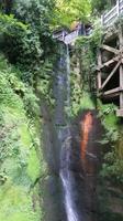 Shanklin Chine - Eine unerwartet auftretende wilde Schlucht mit tropischer Vegetation