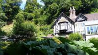 Shanklin Chine - Eine unerwartet auftretende wilde Schlucht mit tropischer Vegetation