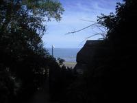 Shanklin Chine - Isle of Wight