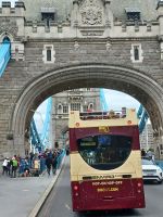 Sightseeing (3)