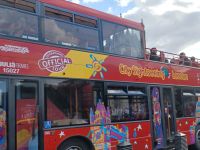 Sightseeing Bus