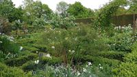 Sissinghurst 20180511 181018