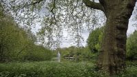 Spaziergang durch den St. James's Park 