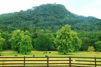 Spaziergang zum Inverrary Castle