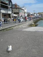 St. Ives