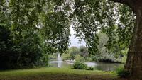 St. James Park 