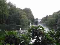 St. James Park
