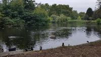 St. James Park