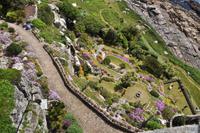St. Michael's Mount