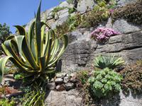 St. Michael's Mount
