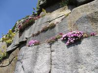 St. Michael's Mount