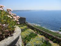St. Michael's Mount