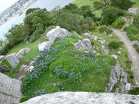 St. Michaels Mount