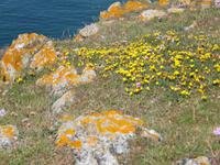 Stackpole Head