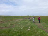 Stackpole Head