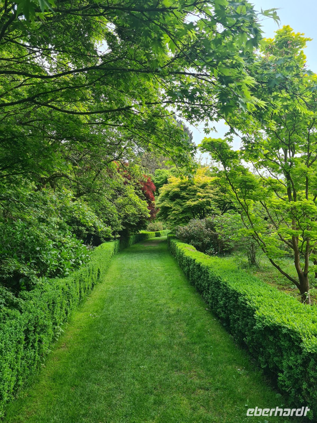 Tag 5 - Arley Arboretum - Eindrücke (2).jpg