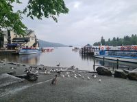 Tag 7 - Lake District - Lake Windermere.jpg