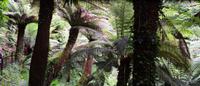 Terwidden Garden