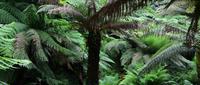 Terwidden Garden