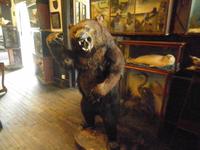 The Drovers Inn