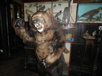 The Drovers Inn