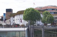 The Globe