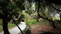 The Lost Gardens of Heligan 20180515 134325