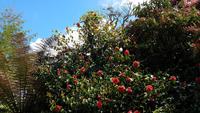 The Lost Gardens of Heligan 20180515 134423