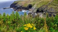 Tintagel Castle