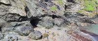 Tintagel