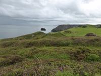Tintagel