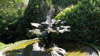 Trebah 20180515 171644