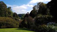 Trebah 20180515 171902