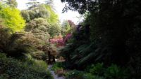 Trebah 20180515 172357