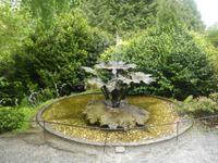 Trebah Garden 
