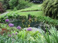Trebah Garden