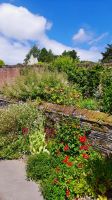 Trelissick Garden