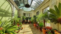 Trelissick Garden
