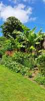 Trelissick Garden